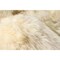 Homeroots 2 x 3 ft. New Zealand Single Sheepskin Gold 293182 - alternate 2